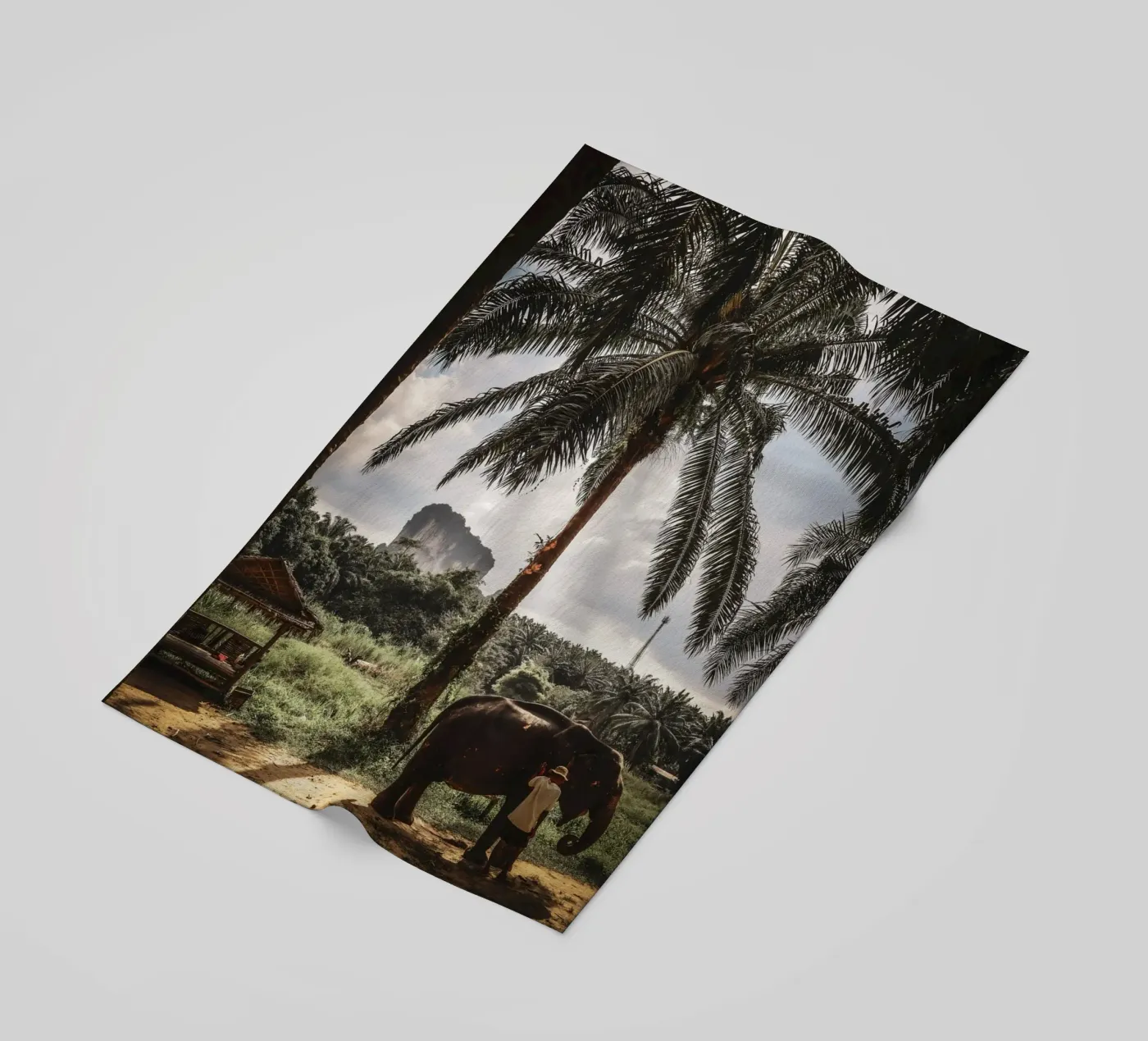 Krabi telo mare da G.W