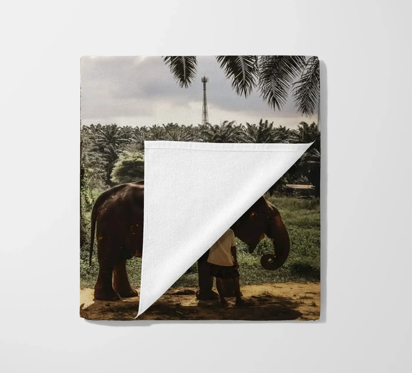 Krabi telo mare da G.W