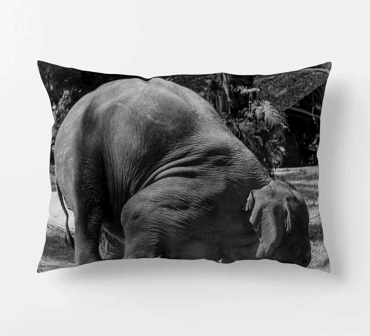 Elephant cuscino da G.W