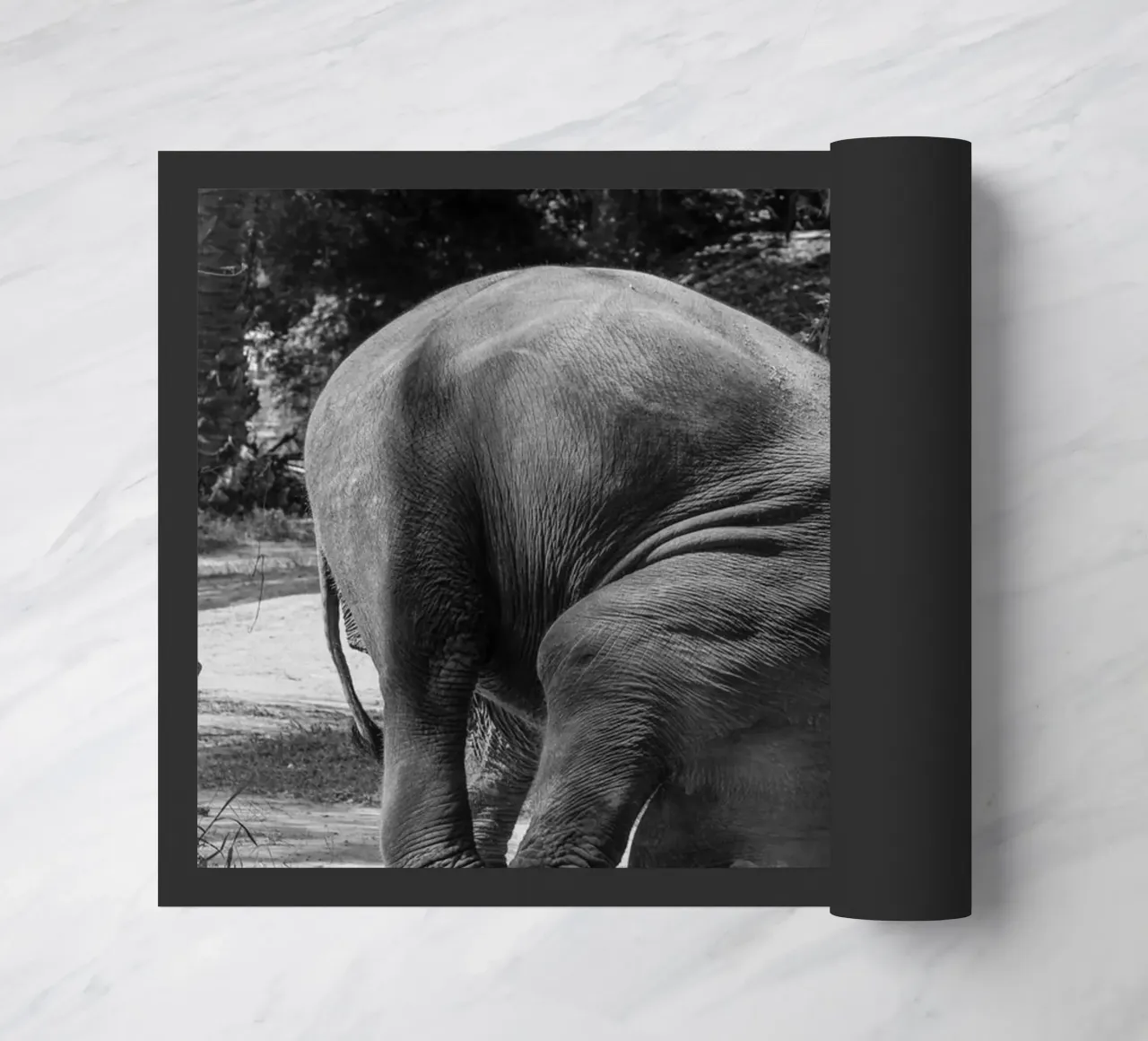 Elephant zerbino da G.W