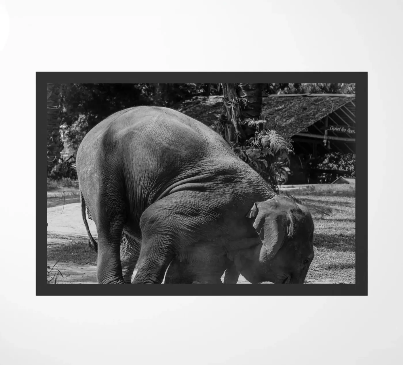Elephant doormat by G.W