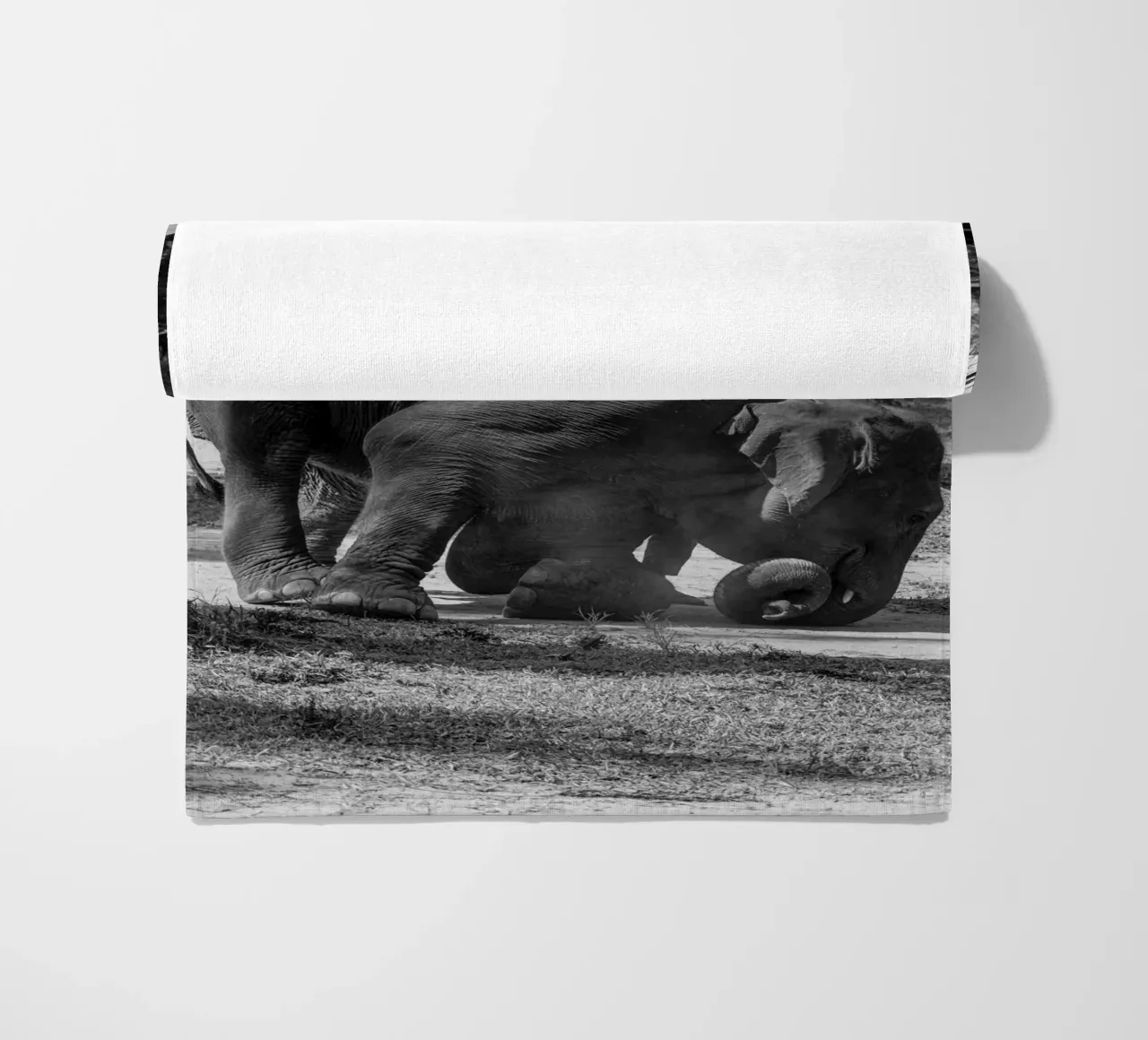 Elephant telo mare da G.W