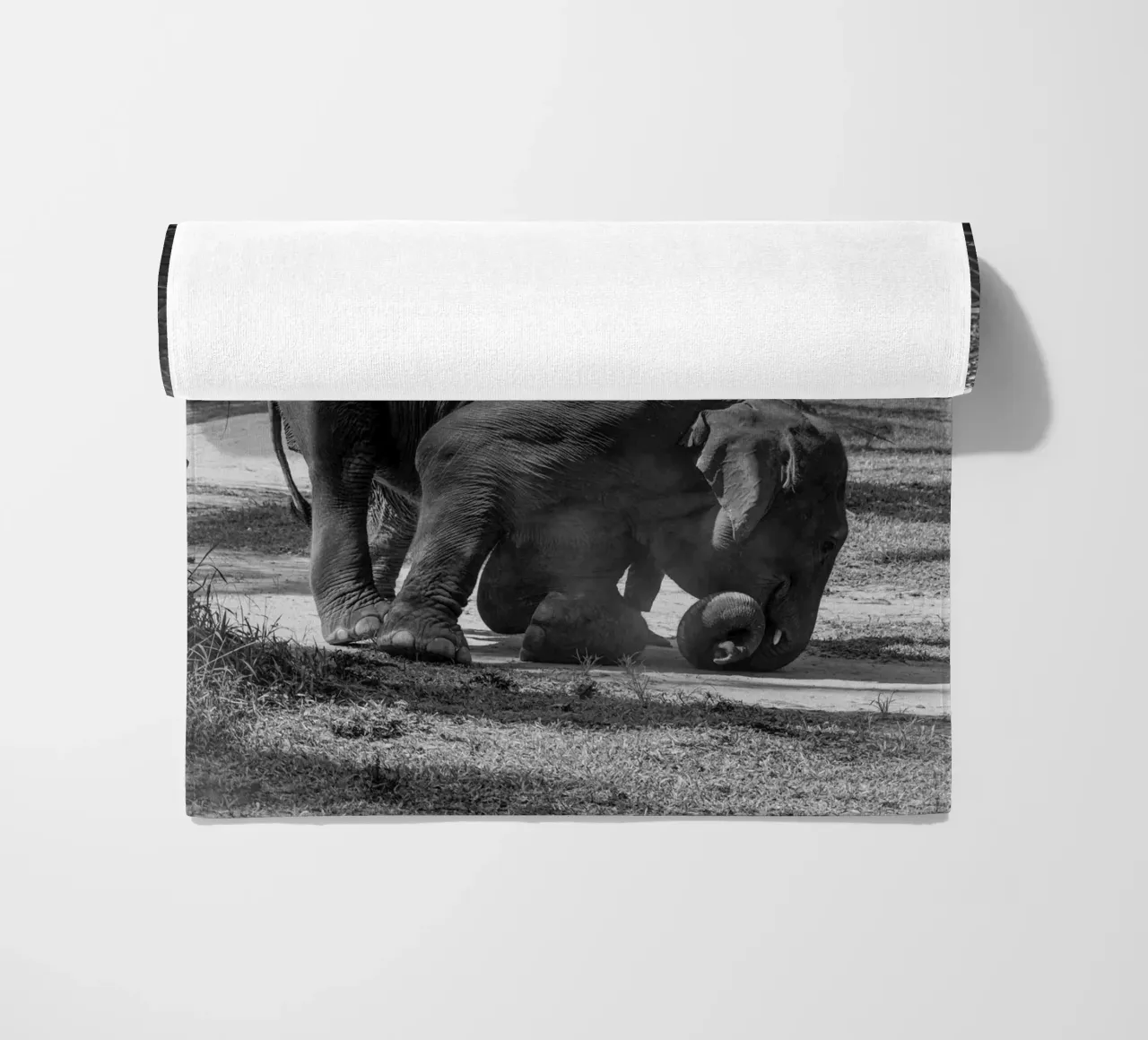 Elephant telo mare da G.W