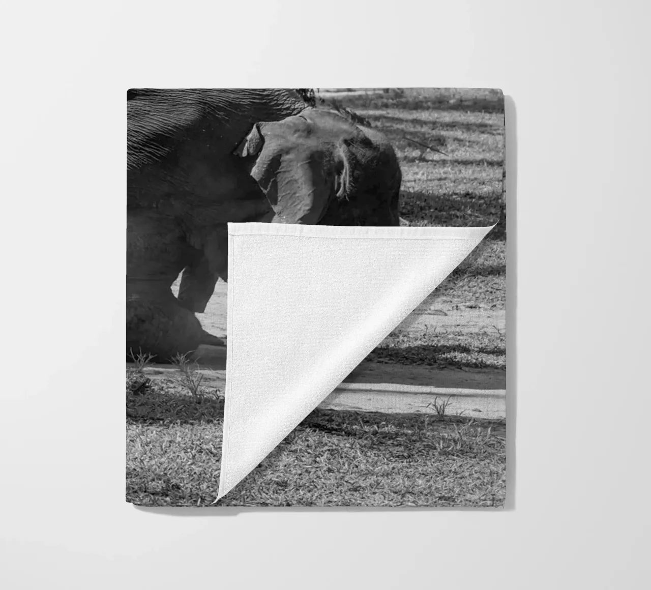 Elephant telo mare da G.W