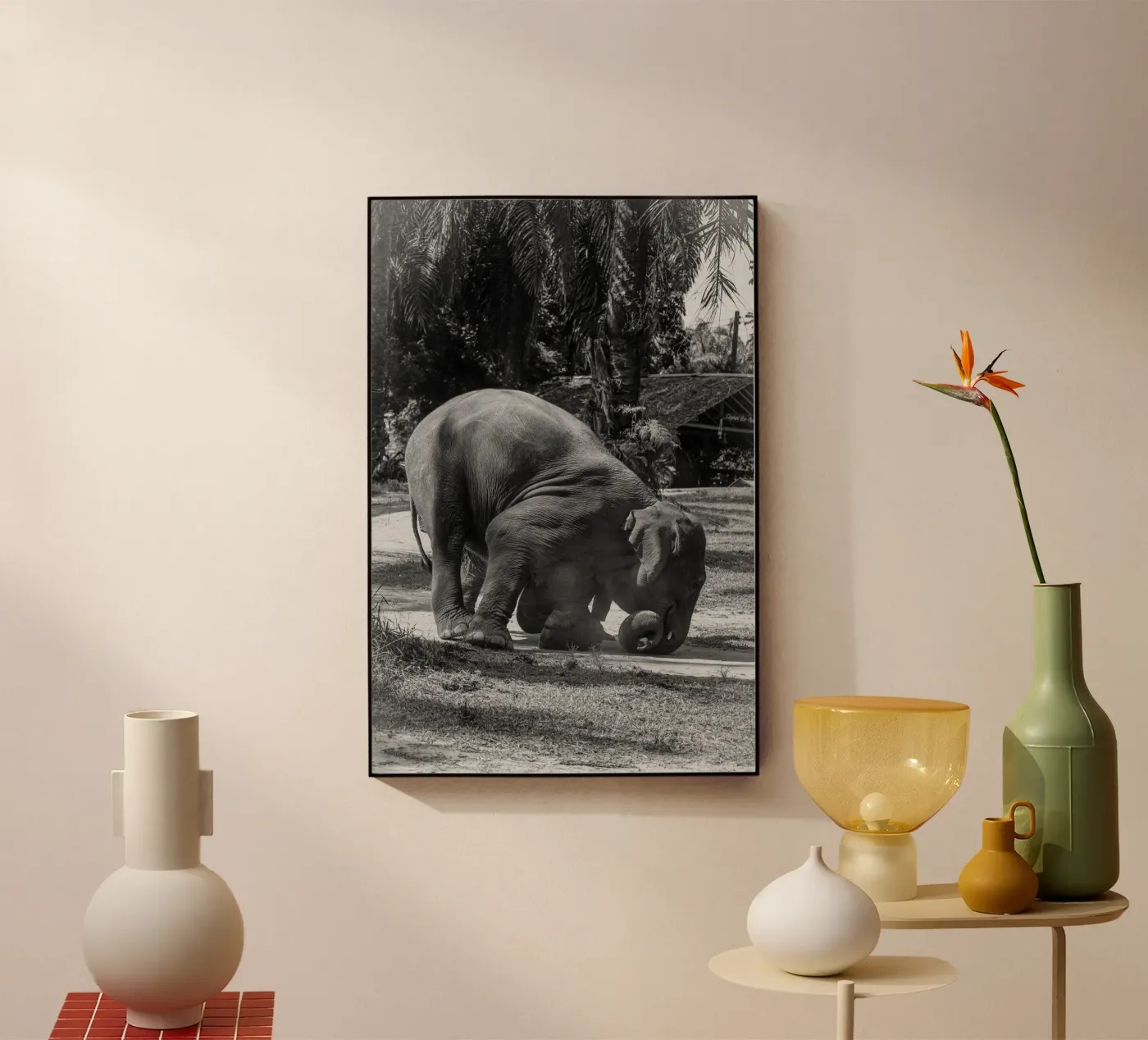 Elephant plexiglass da G.W