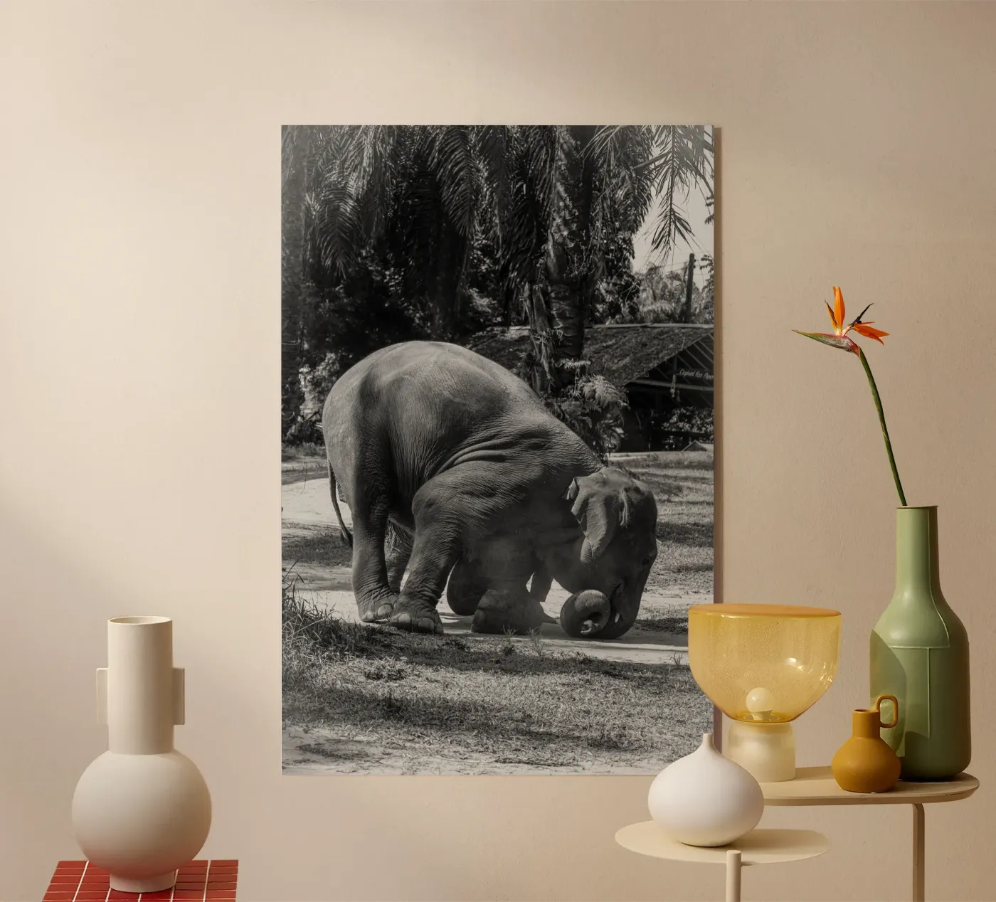 Elephant plexiglass da G.W
