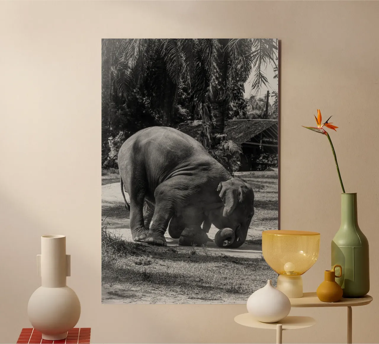 Elephant alluminio dibond da G.W
