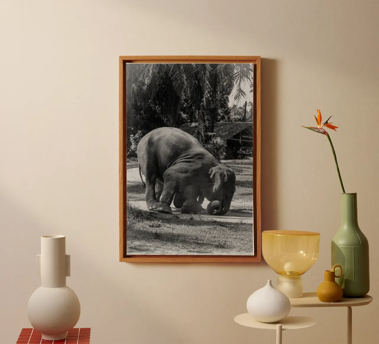 Elephant tela con Cornice a cassetta da G.W
