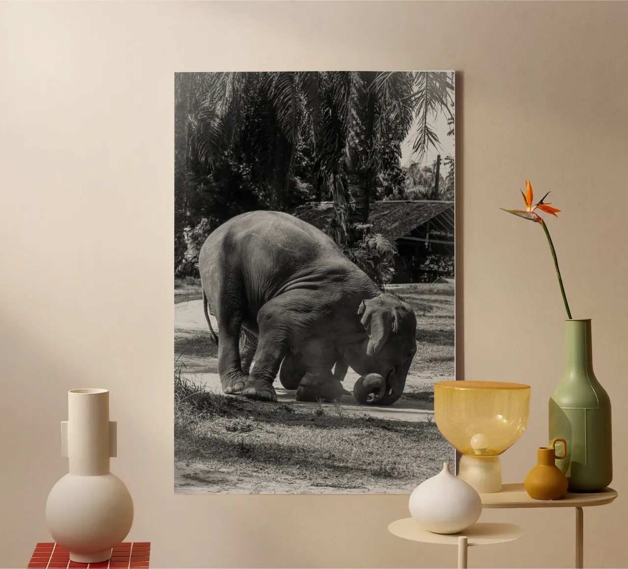 Elephant tela con Cornice a cassetta da G.W