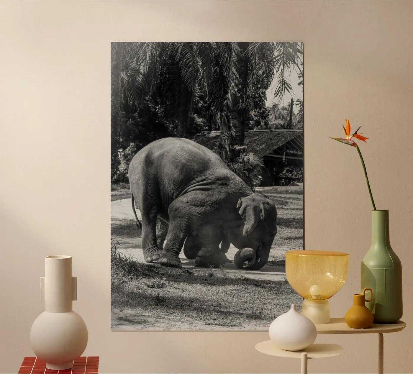 Elephant poster da G.W