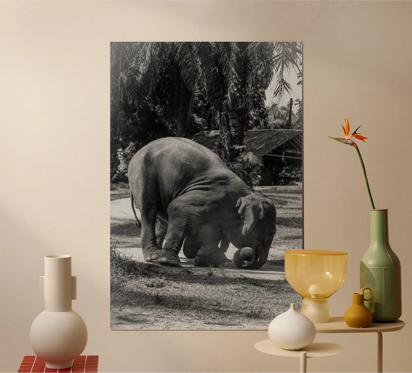 Elephant poster van G.W
