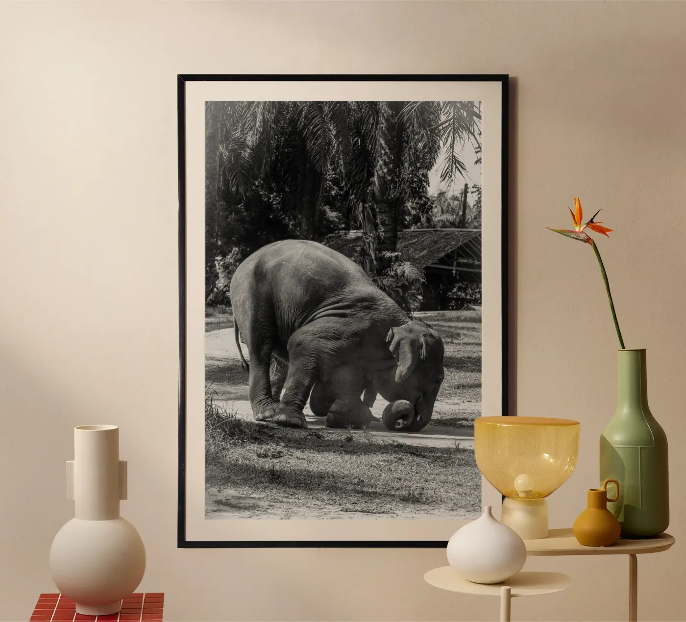 Elephant poster van G.W