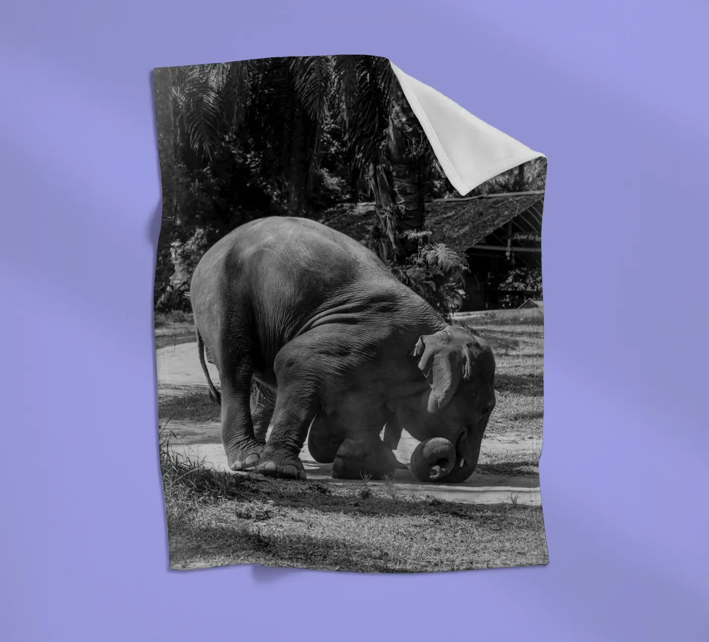 Elephant Fleecedecke von G.W