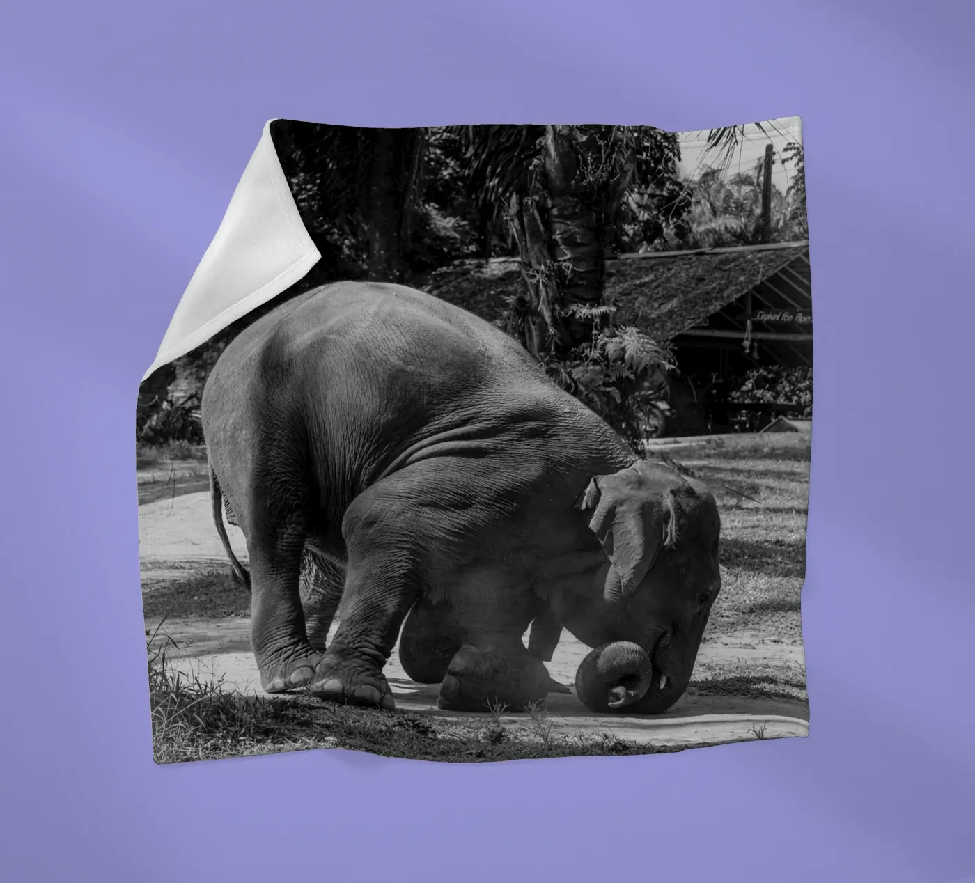 Elephant Fleecedecke von G.W
