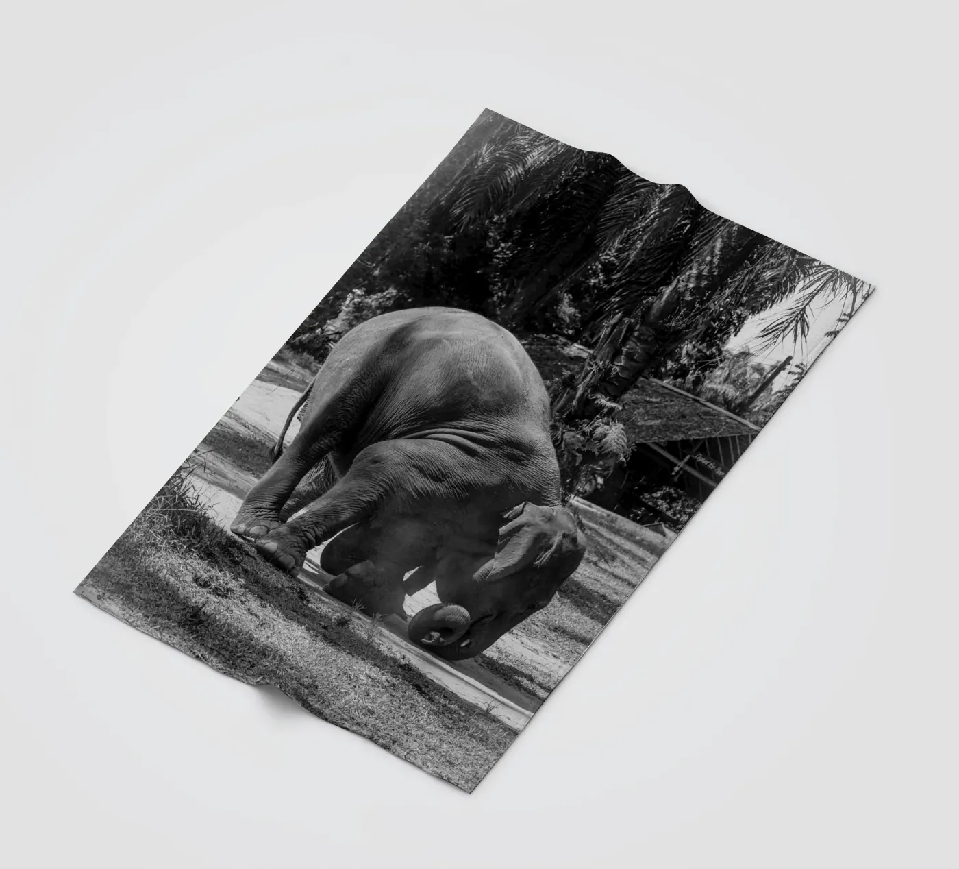 Elephant Fleecedecke von G.W