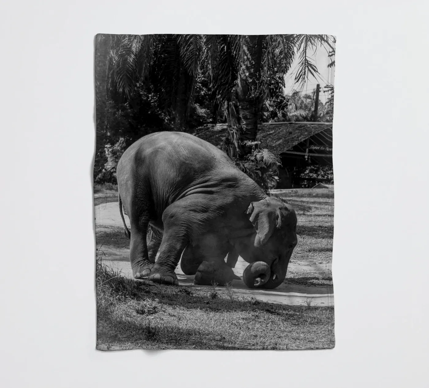 Elephant Fleecedecke von G.W