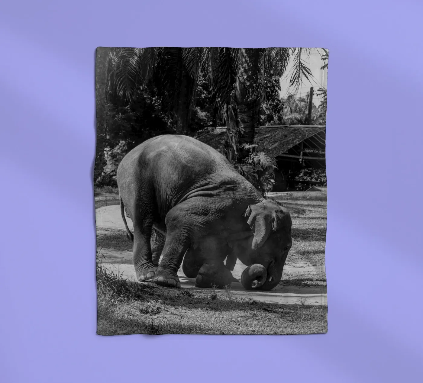 Elephant Fleecedecke von G.W