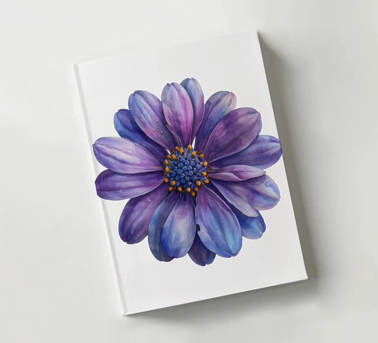 Osteospermum Flower 3 notebook by Bold Blooms