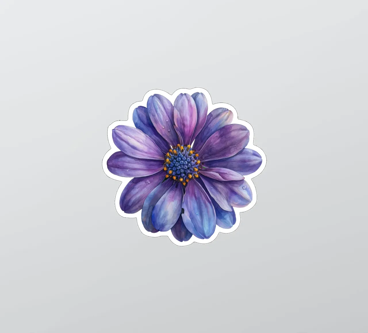 Osteospermum Flower 3 sticker by Bold Blooms