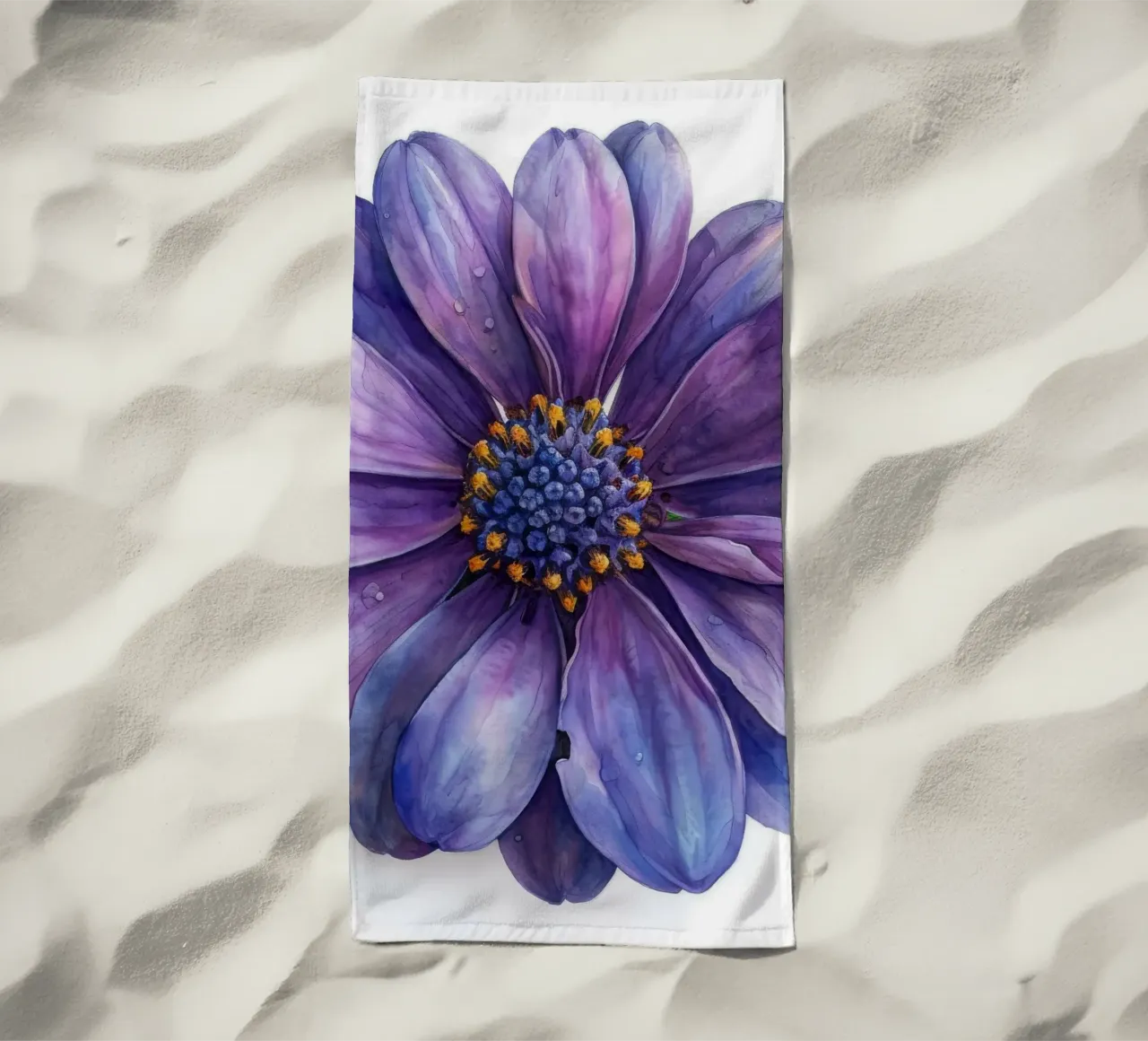 Osteospermum Fiore 3 telo mare da Bold Blooms