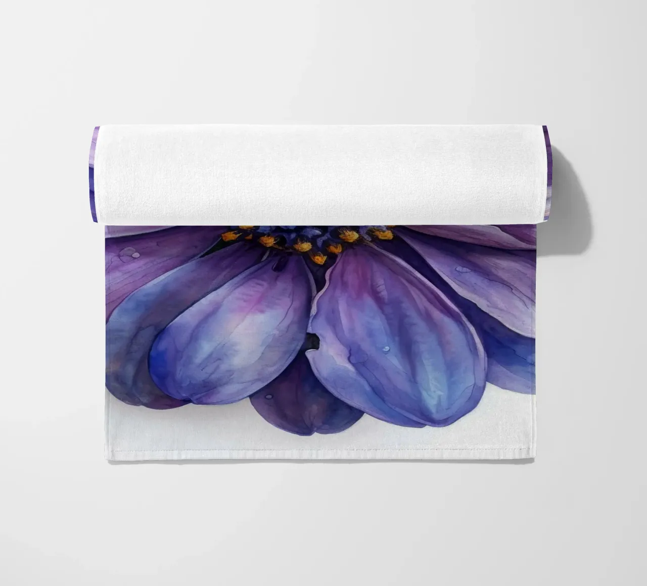 Osteospermum Fiore 3 telo mare da Bold Blooms
