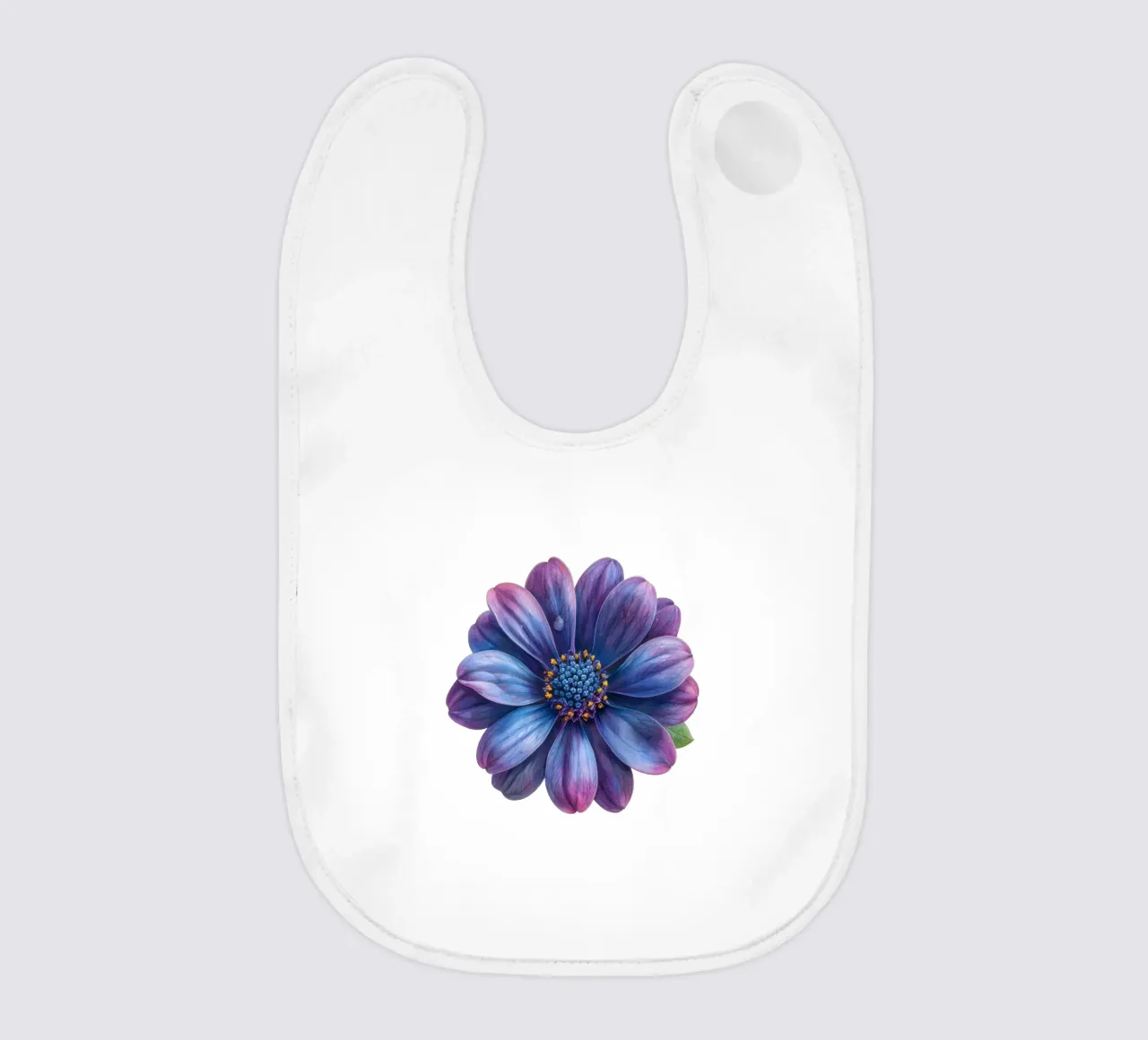 Osteospermum Fiore 4 bavaglino da Bold Blooms