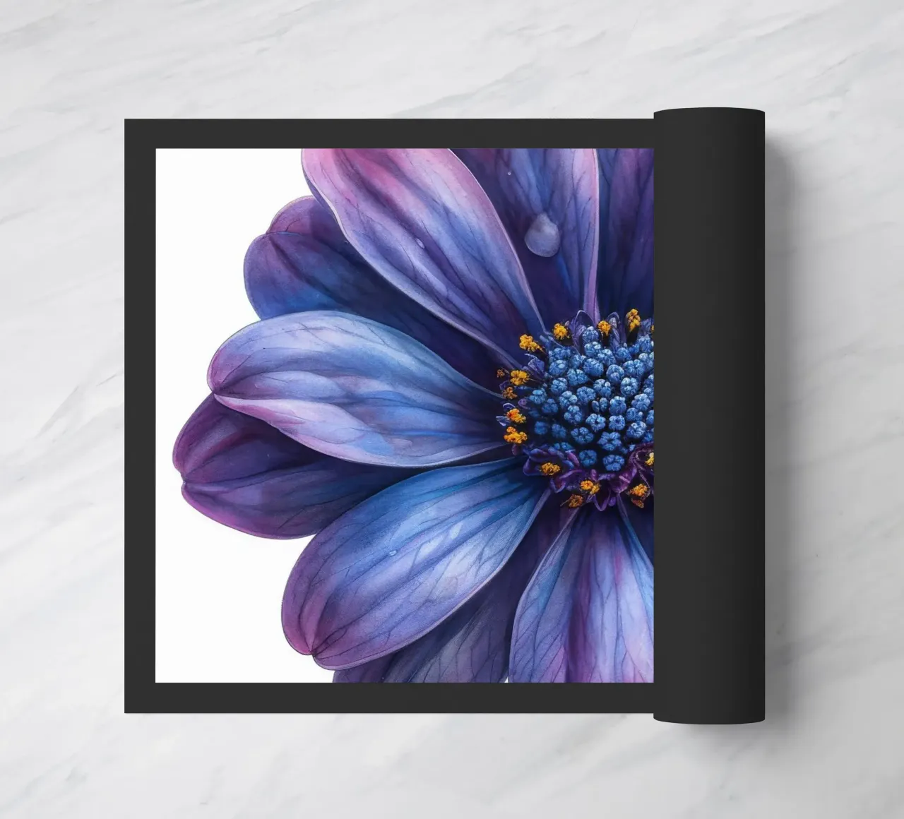 Osteospermum Fiore 4 zerbino da Bold Blooms