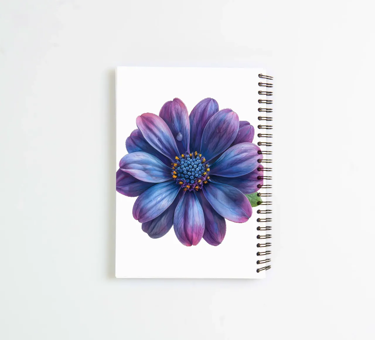 Osteospermum Flower 4 spiral notebook by Bold Blooms