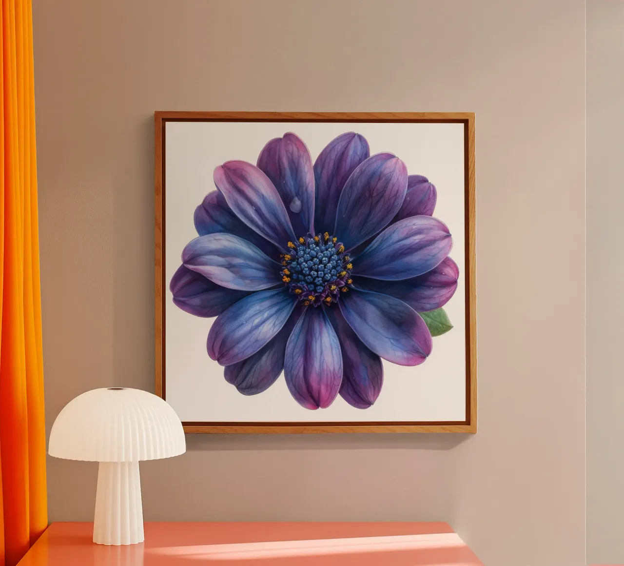 Osteospermum Flower 4 acrylic glass by Bold Blooms