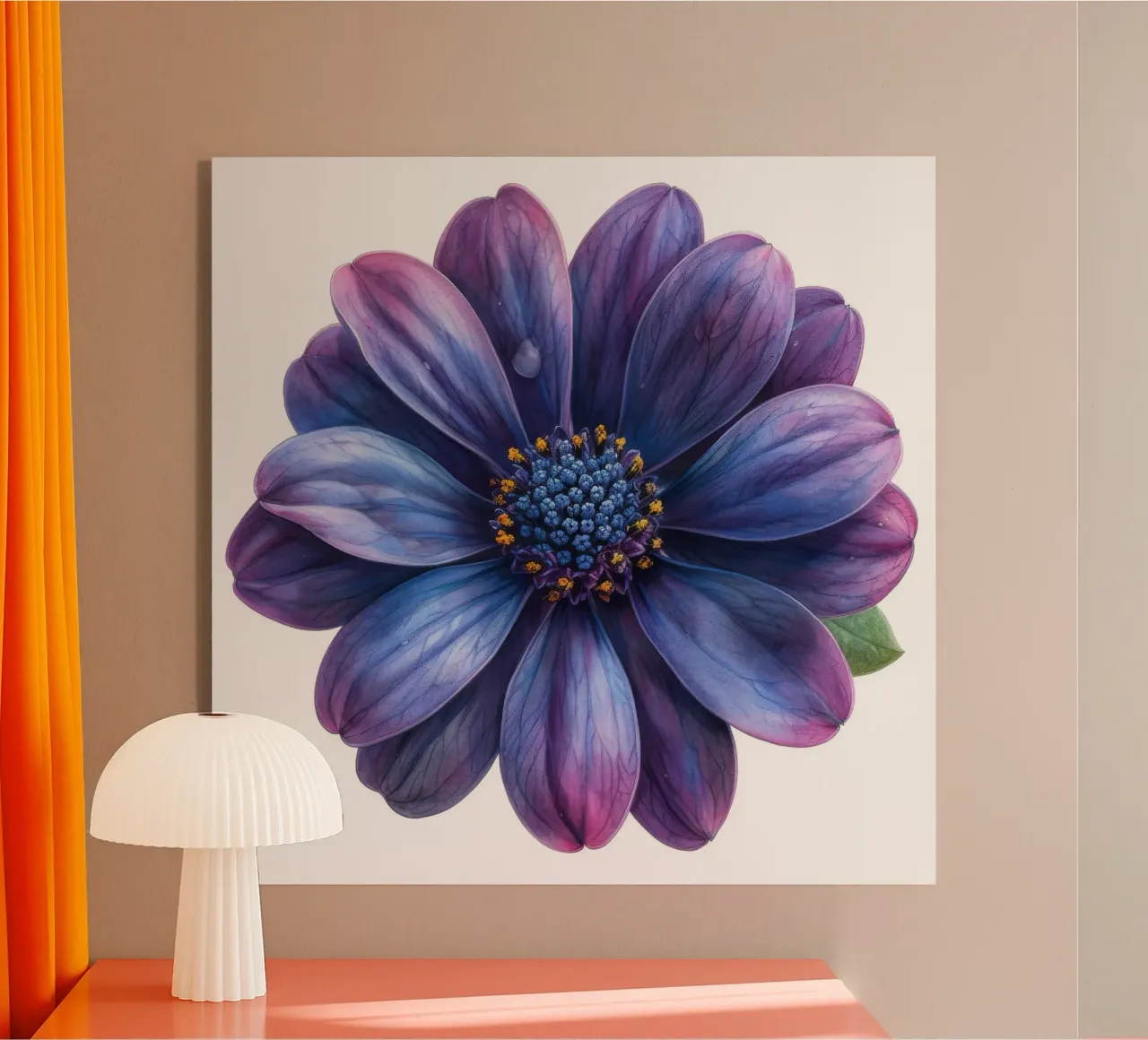 Osteospermum Flower 4 acrylic glass by Bold Blooms