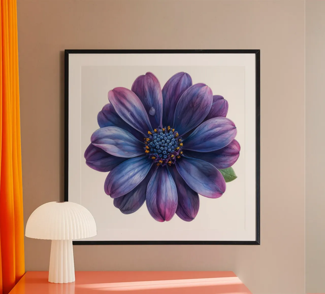 Osteospermum Fiore 4 poster con telaio in legno da Bold Blooms