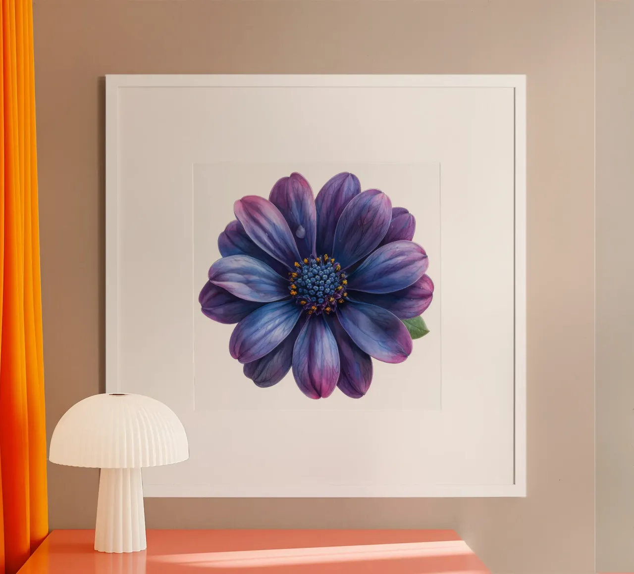 Osteospermum Fiore 4 poster con telaio in legno da Bold Blooms