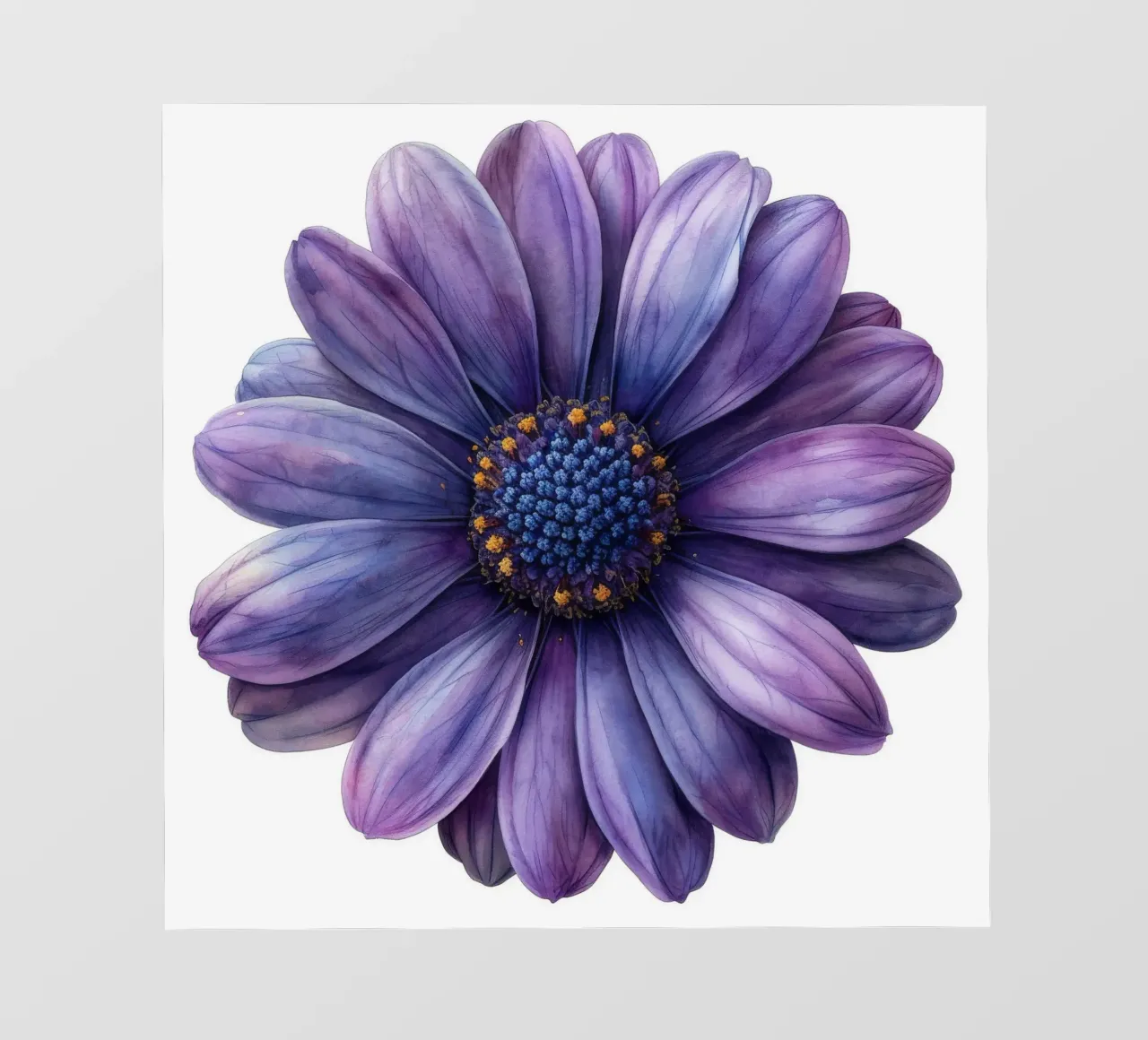 Osteospermum Fiore 1 telo in pvc da Bold Blooms