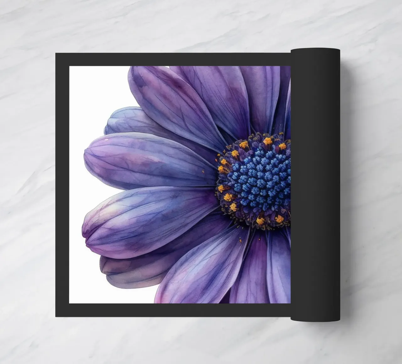 Osteospermum Fiore 1 zerbino da Bold Blooms