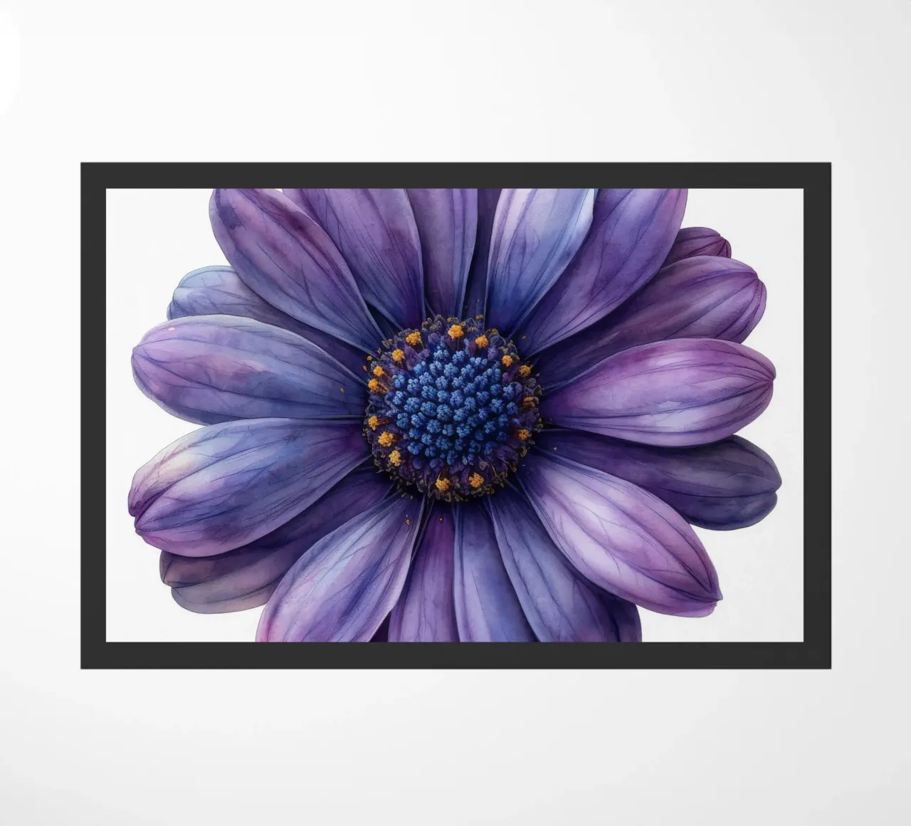 Osteospermum Fiore 1 zerbino da Bold Blooms