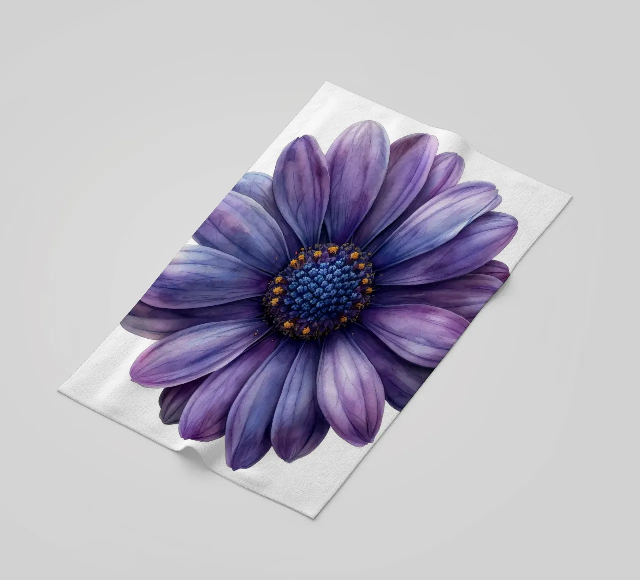 Osteospermum Fiore 1 telo mare da Bold Blooms