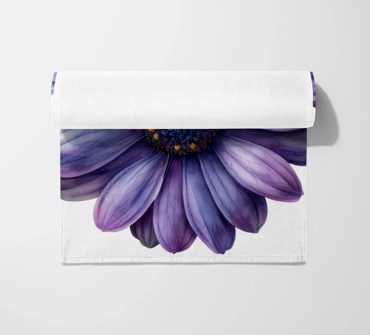 Osteospermum Fiore 1 telo mare da Bold Blooms