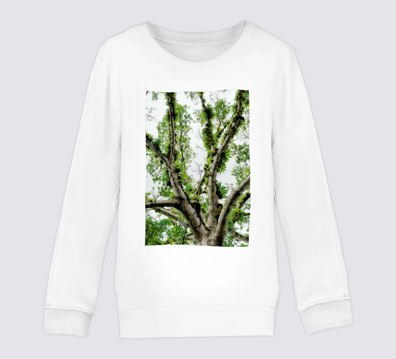 Jungle Tree sweat enfant de Curious Collections by Marielle Leenders