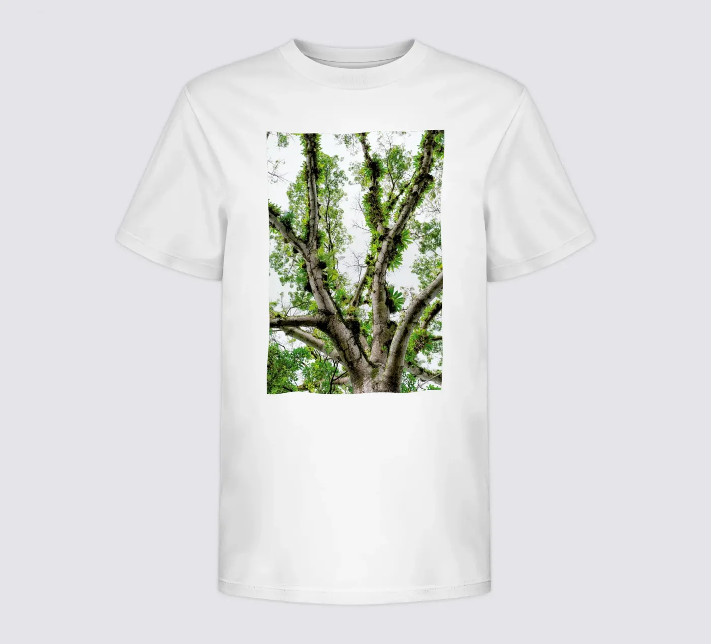 Jungle Tree t-shirt bambini da Curious Collections by Marielle Leenders