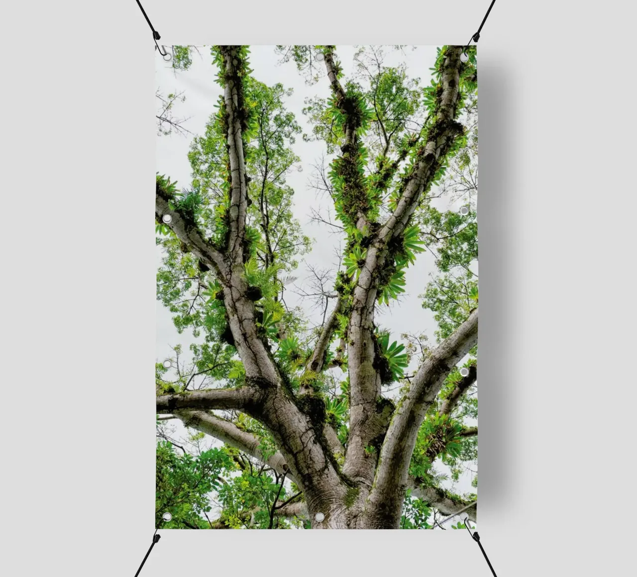 Jungle Tree telo in pvc da Curious Collections by Marielle Leenders