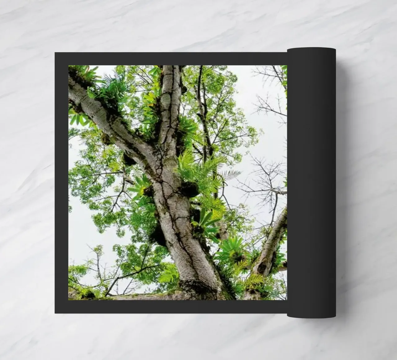 Jungle Tree zerbino da Curious Collections by Marielle Leenders