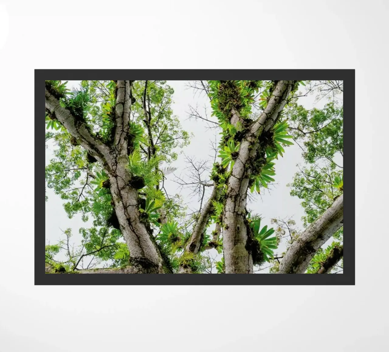 Jungle Tree zerbino da Curious Collections by Marielle Leenders