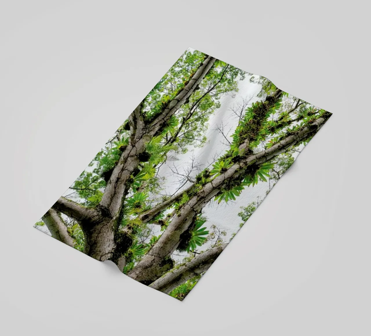 Jungle Tree telo mare da Curious Collections by Marielle Leenders