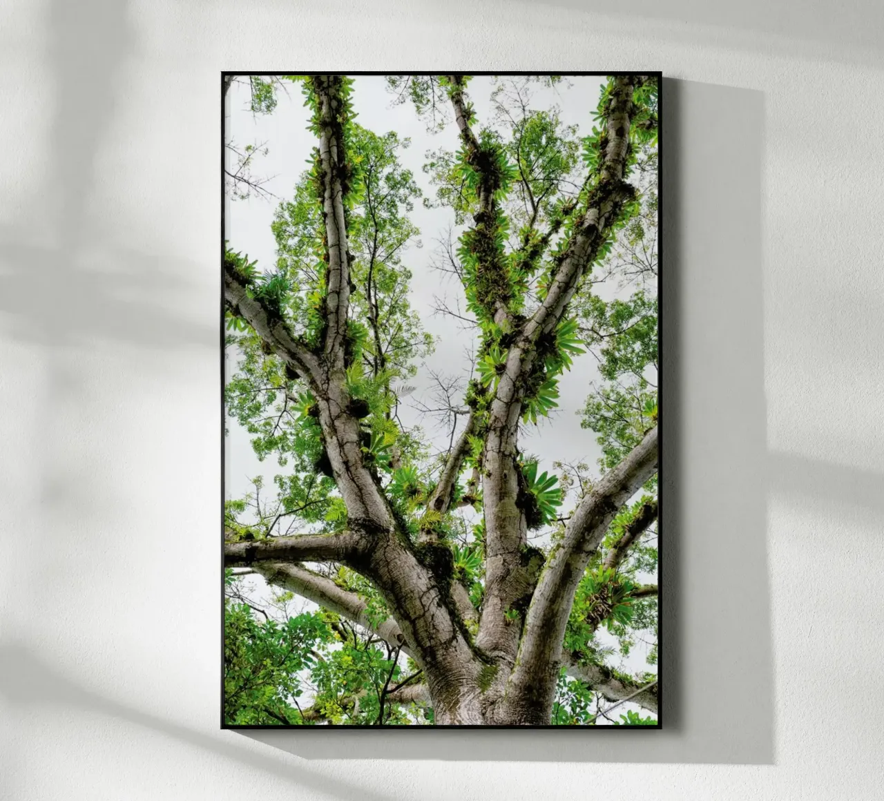 Jungle Tree plexiglass da Curious Collections by Marielle Leenders