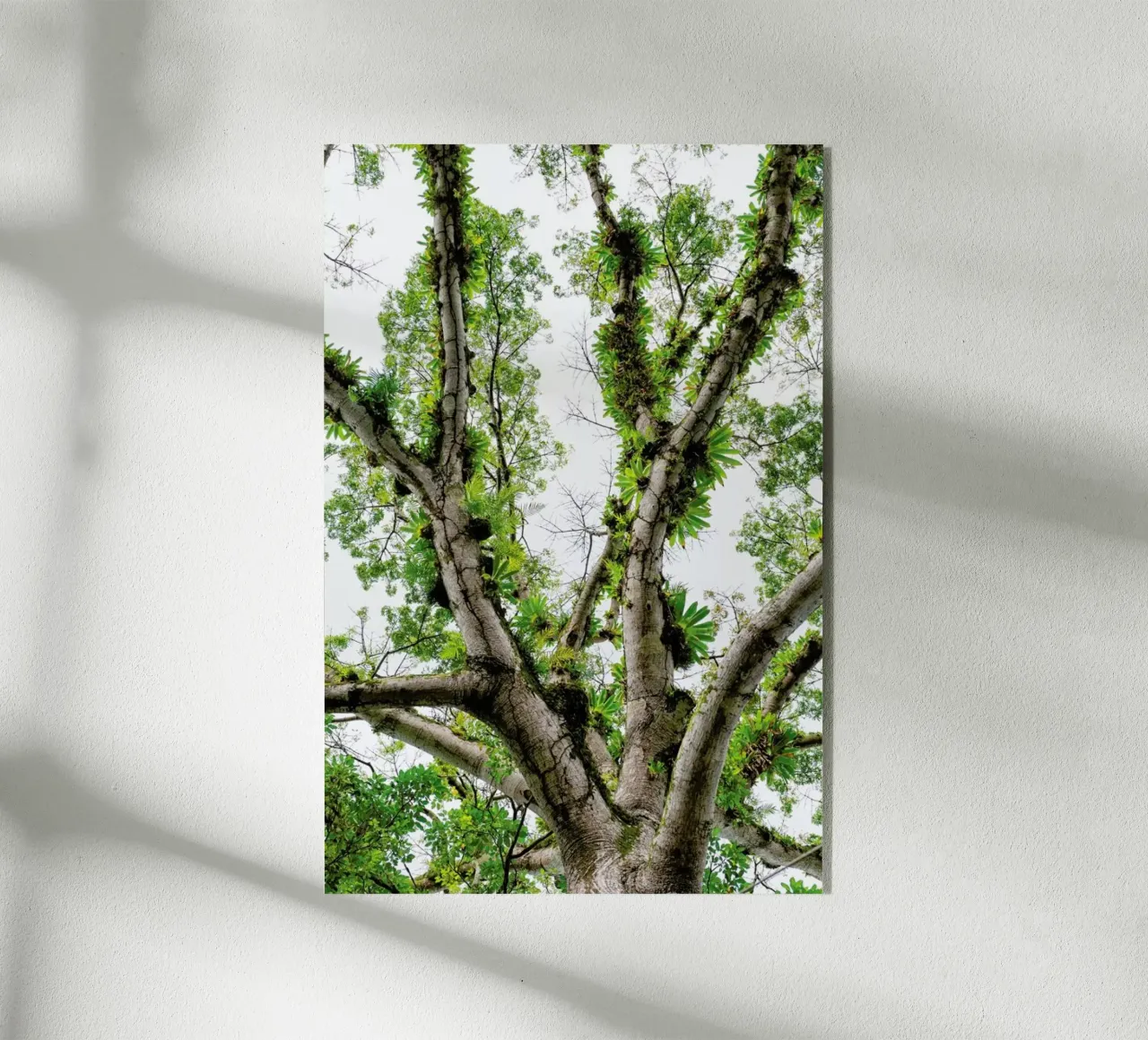 Jungle Tree plexiglass da Curious Collections by Marielle Leenders