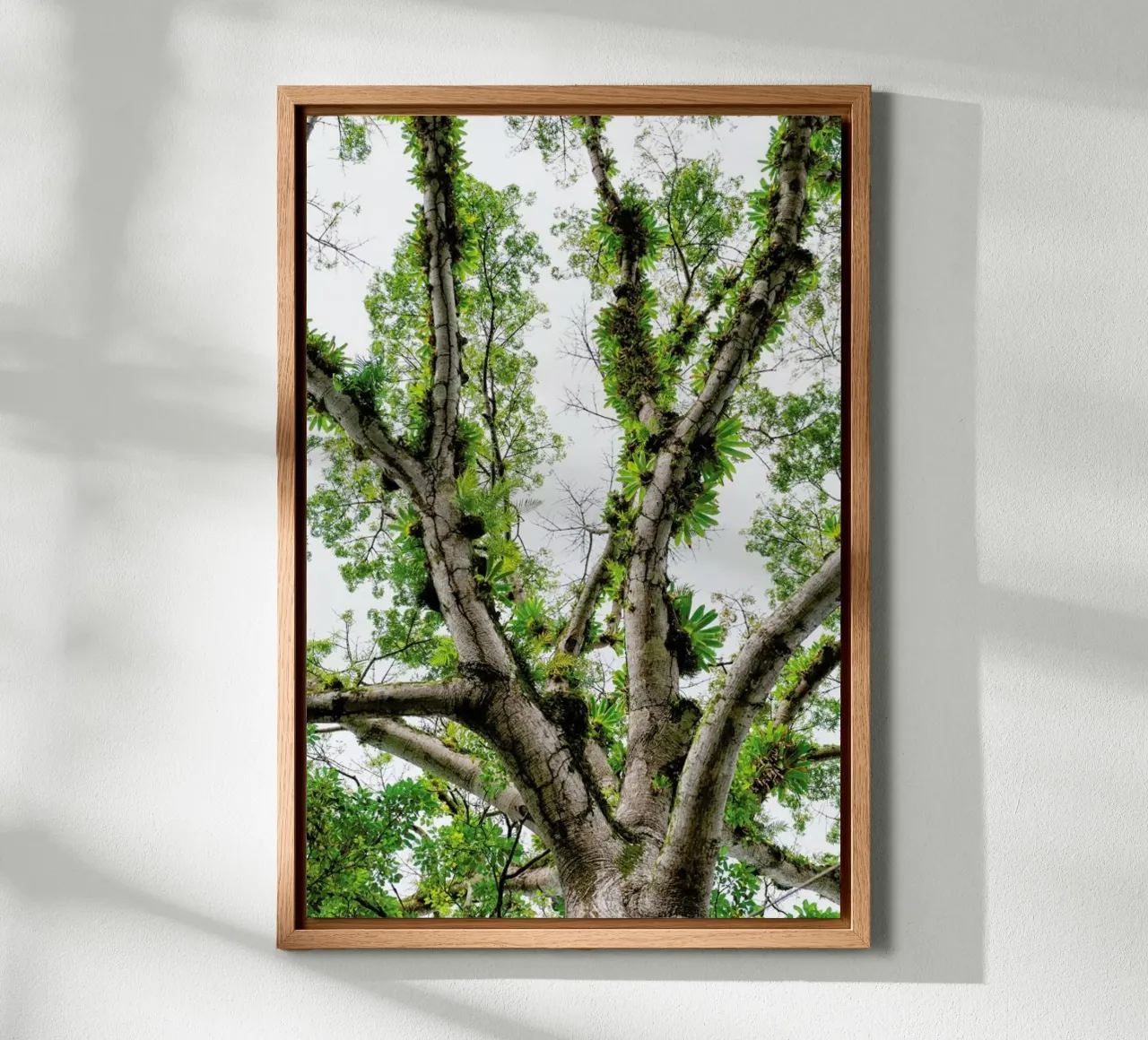 Jungle Tree tela con Cornice a cassetta da Curious Collections by Marielle Leenders