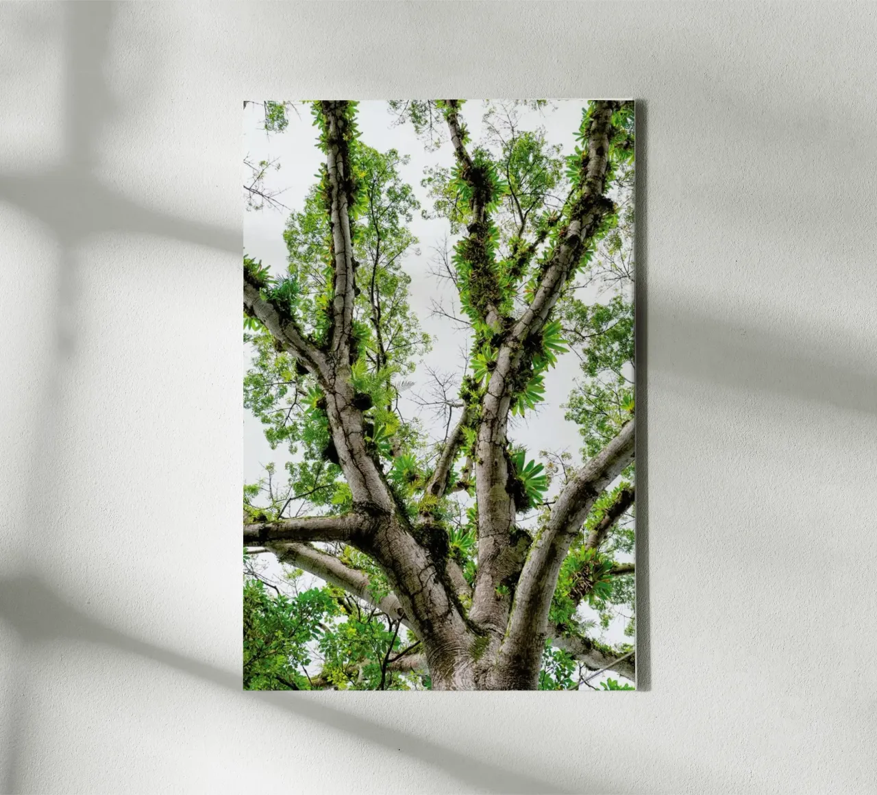 Jungle Tree tela con Cornice a cassetta da Curious Collections by Marielle Leenders