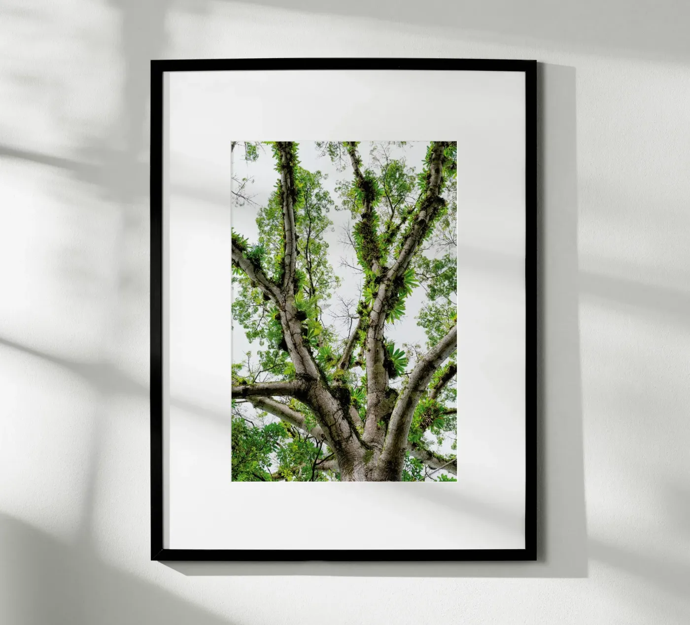 Jungle Tree poster by Curious Collections by Marielle Leenders