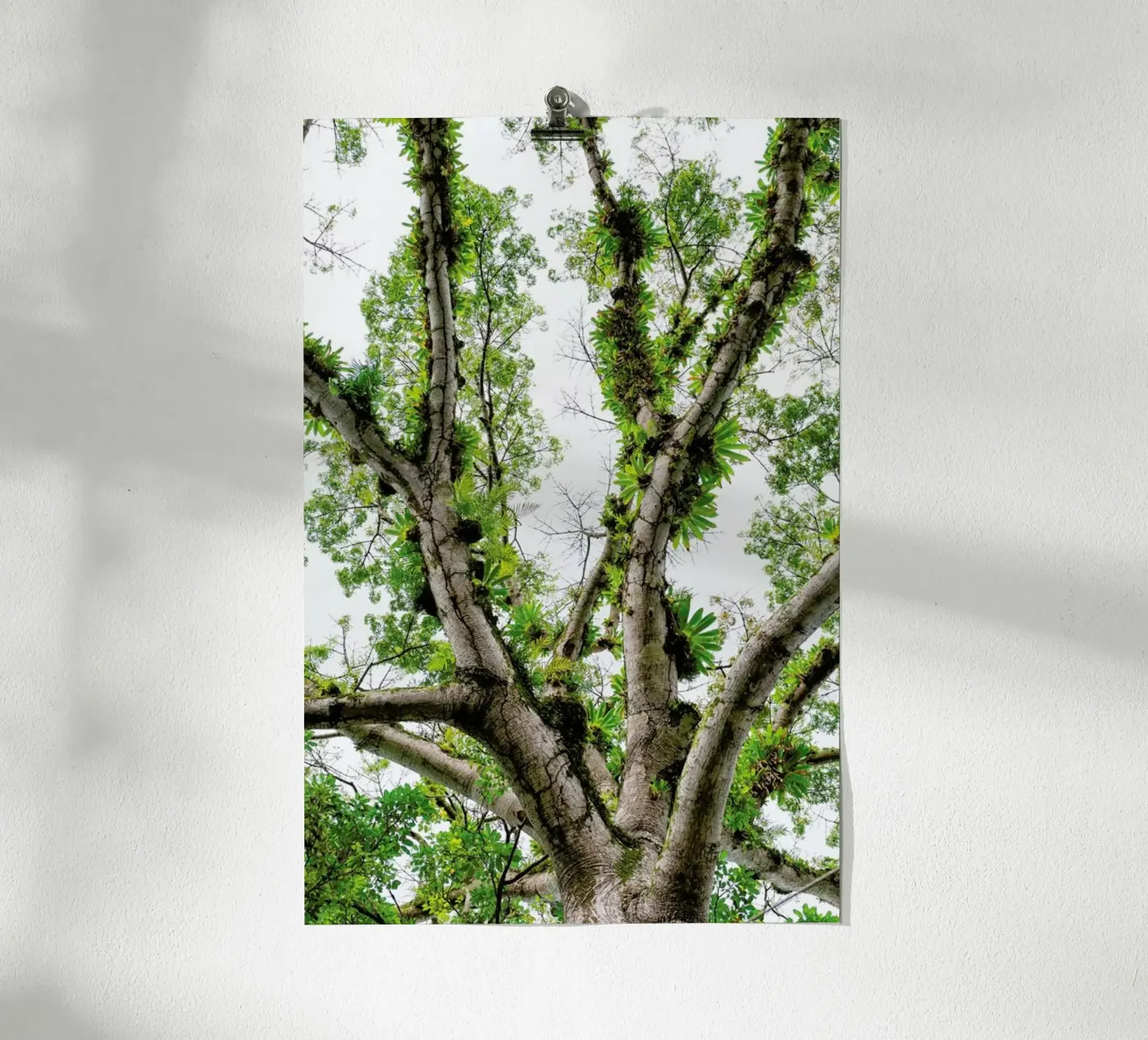 Jungle Tree poster by Curious Collections by Marielle Leenders