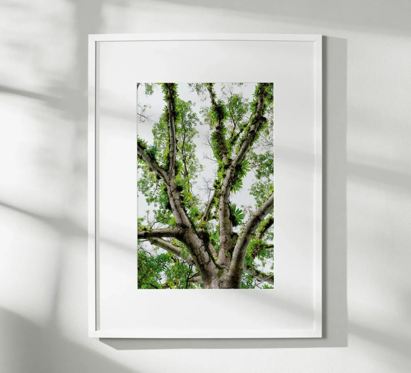 Jungle Tree poster by Curious Collections by Marielle Leenders